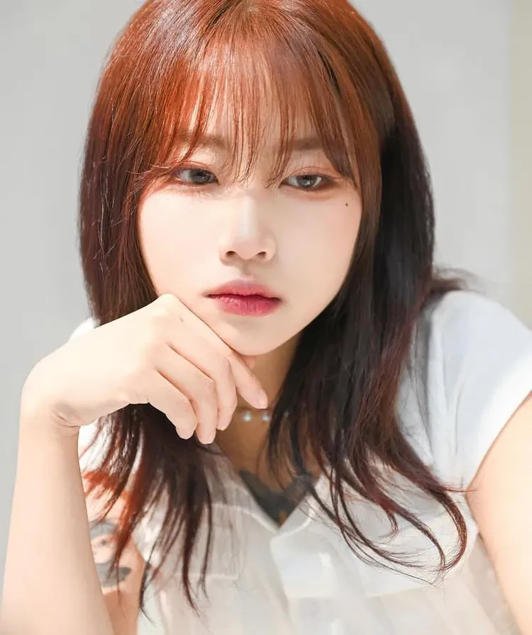 노루(틱톡커) profile picture