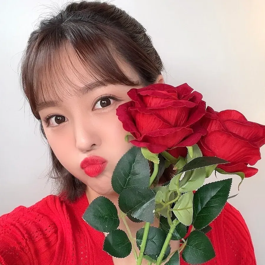 효보스 profile picture